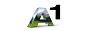 A1