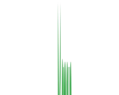 smava